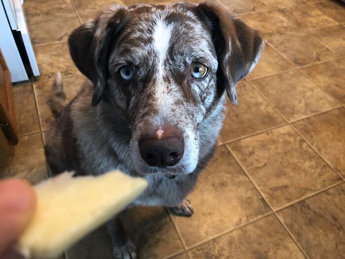 Someone Asks "What Is Your 'Never Again' Brand, Item, Store, Or Restaurant?" And 45 People Don't Hold Back