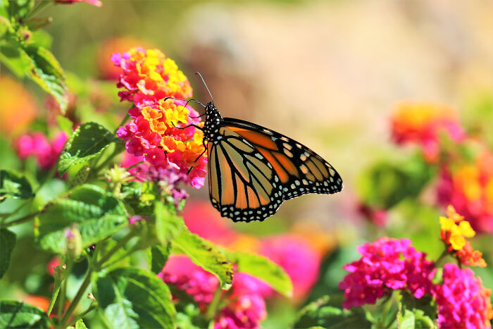 Users Of This Online Group Reveal 30 Things That Were Considered Regular When They Were Kids, But Now They Don’t See It Anymore