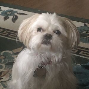 mysteryama1124 avatar