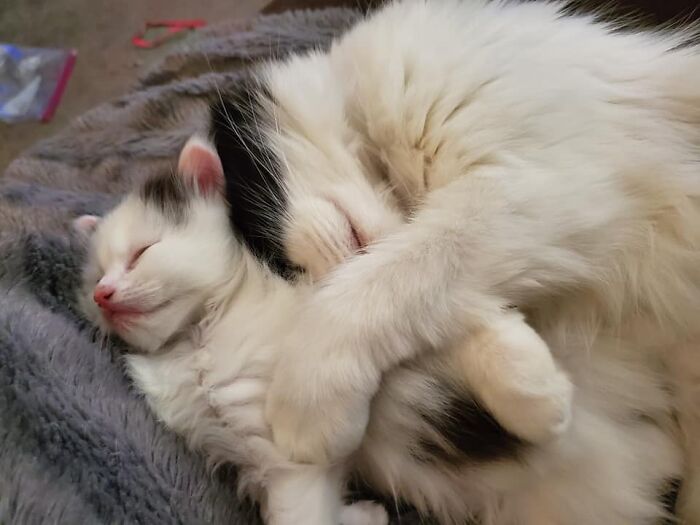 Sunny With Her Hiccup!