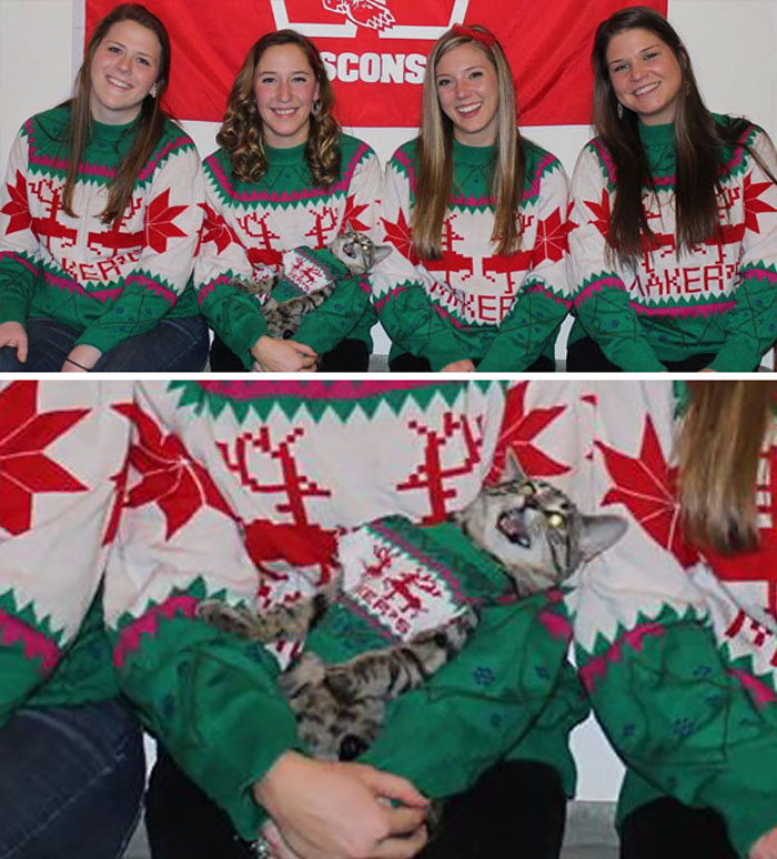 Women in matching Christmas sweaters holding a cat in a sweater, representing funny Christmas cards.