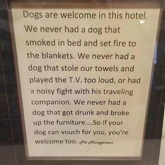 Hotel sign humorously explaining why dogs are welcome, highlighting pet-friendly Canadian hospitality.