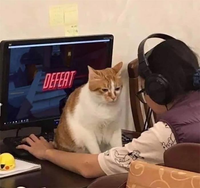 Cat sitting on keyboard in cursed gaming setup while player wearing headphones faces defeat screen on computer.