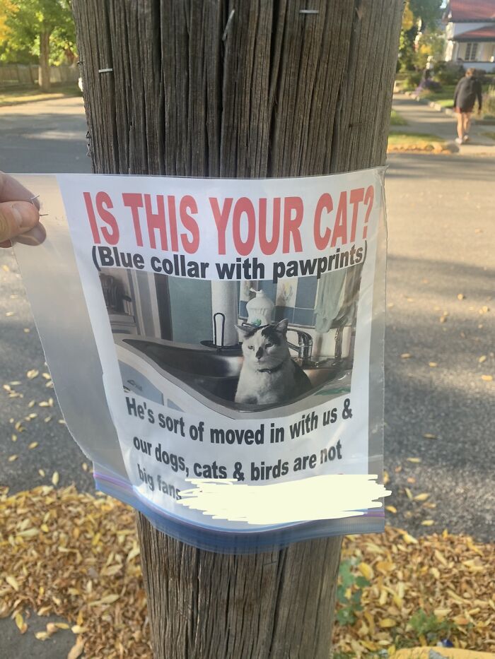 I Guess He Lives Here Now…