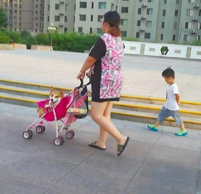 When You're Not Her Favourite Child Anymore