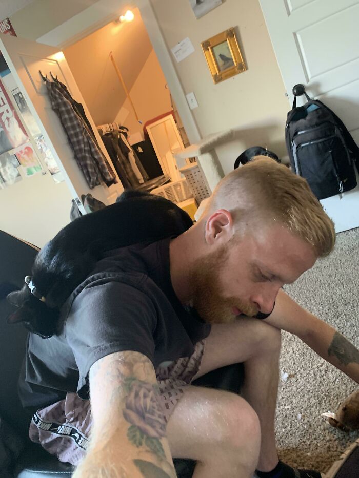 Bent Down To Rub The Belly Of My Dog. And Ruth Took That As An Invitation To Sleep On My Back. I Hope This Isn’t Considered Low Effort Because My Back Is Killing Me