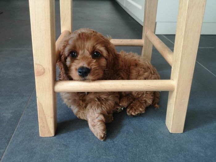 Imprisoned For Ten Thousand Years