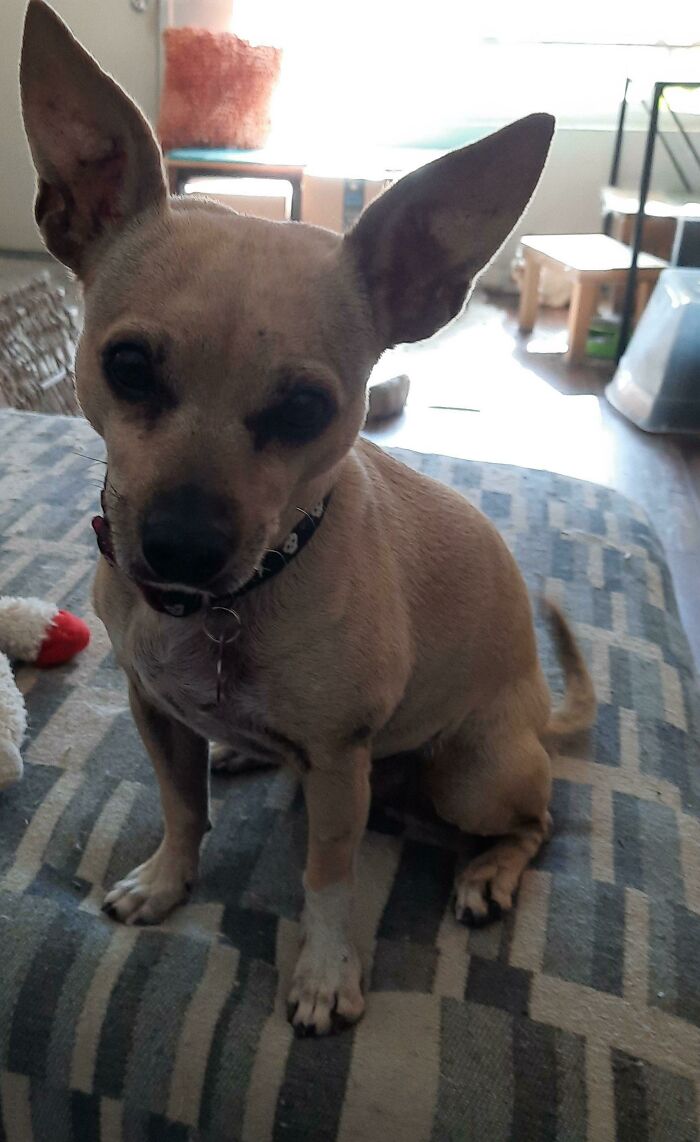 Jill Says Happy Thanksgiving!!