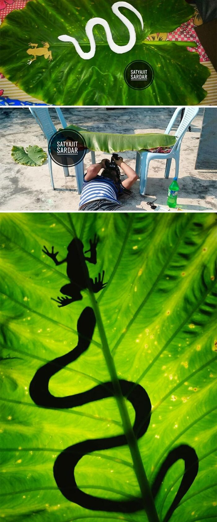 Use Plastic Props To Create "Wildlife Photography" At Home