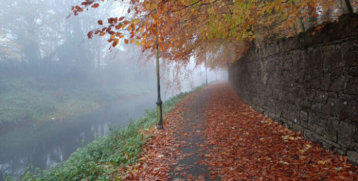 Mullingar Along The Royal Canal Yesterday Morning
