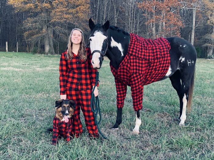 Person, dog, and horse in matching red plaid outfits, creating a funny Christmas card to congratulate friends and family.
