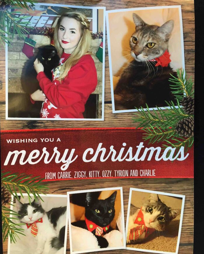 Funny Christmas card collage with a woman and cats in festive outfits, wishing a merry Christmas.