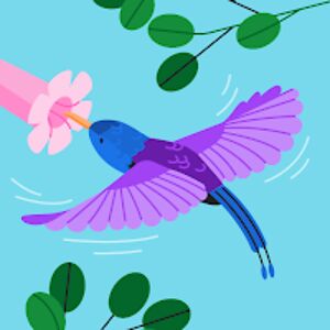 mirandataylor avatar