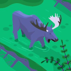 lilydesrosiers avatar