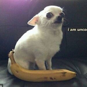 alexandrafajardo avatar