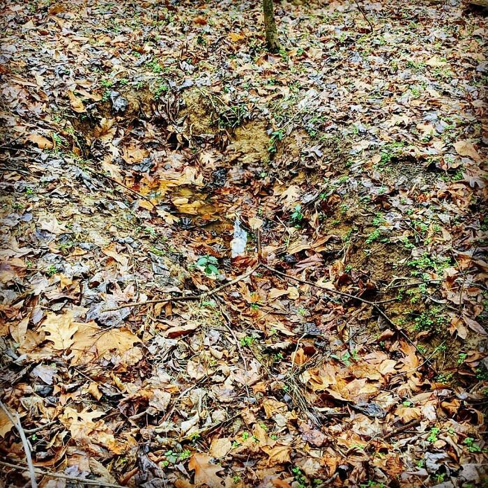 Body Sized Shallow Hole/Grave Behind My New House