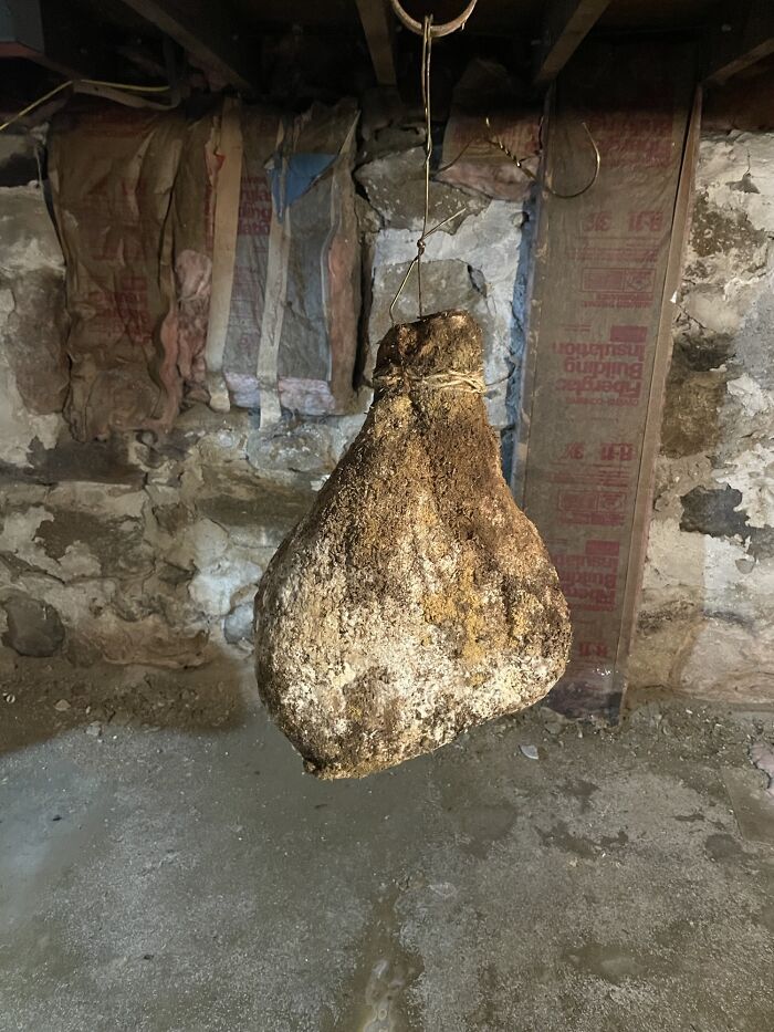 In The Basement Of My Air B&b