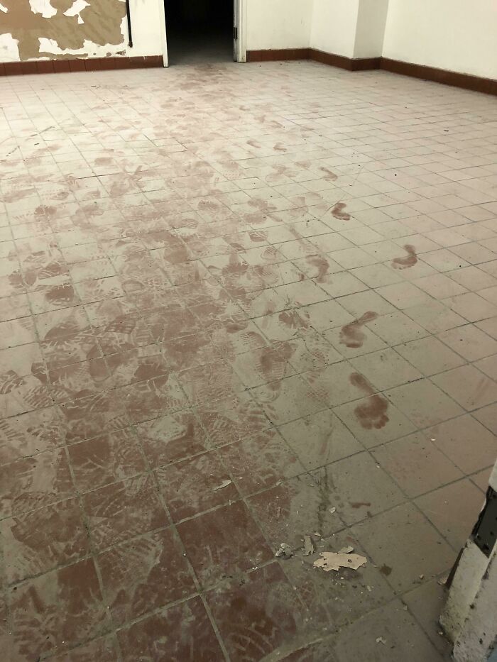 Appears I Had A Visitor While Working Alone In A Large Abandoned Basement…