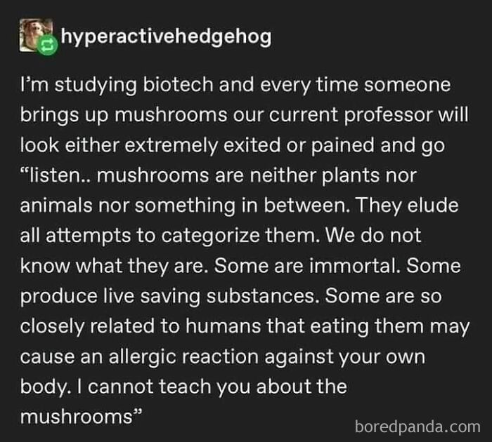 The More I Learn About Mushrooms The Less Comfortable I Am With The Idea Of Mushrooms