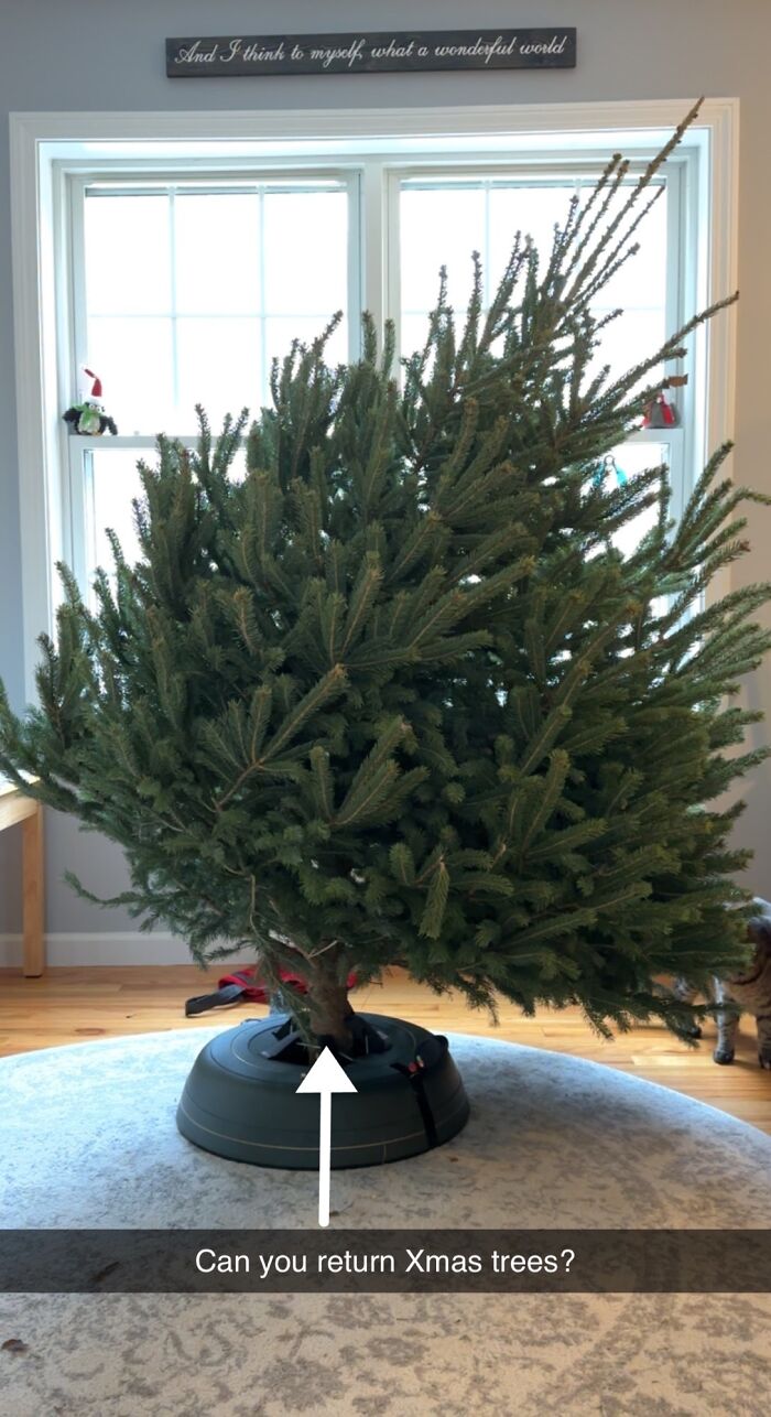 It Looked Straight On The Hill It Grew On