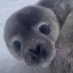 kennethleonard avatar