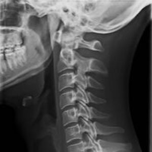 kodlakzvekhovski avatar