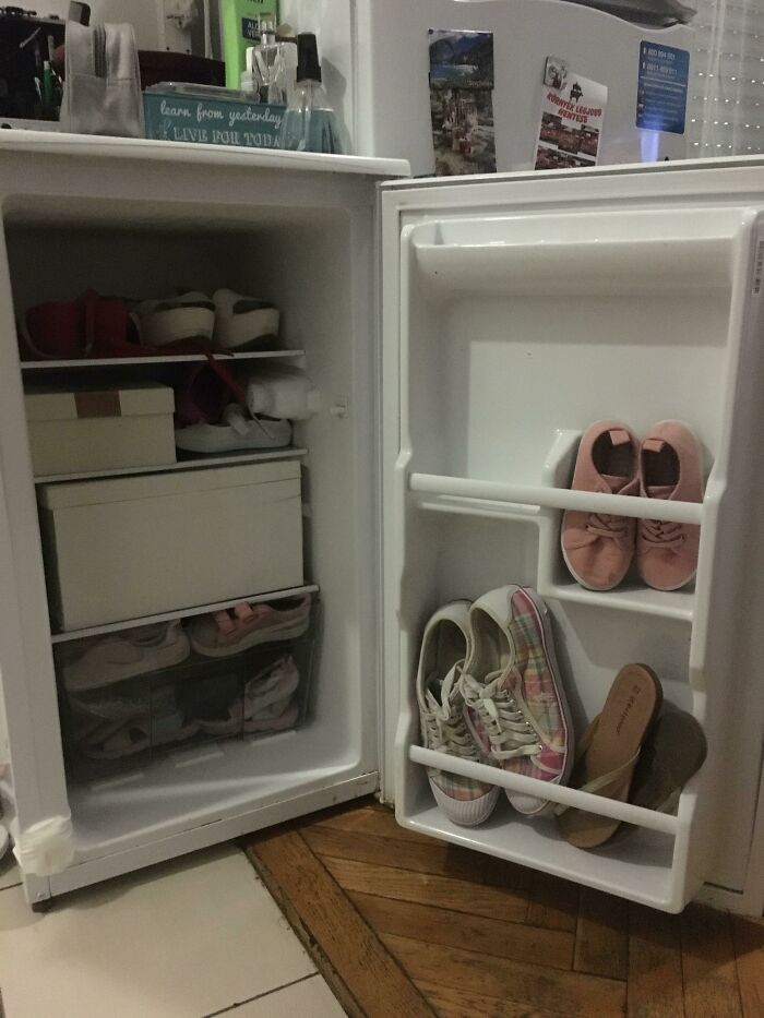 Guess Who And Guess Why