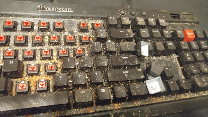 I Thought You Guys Would Enjoy This