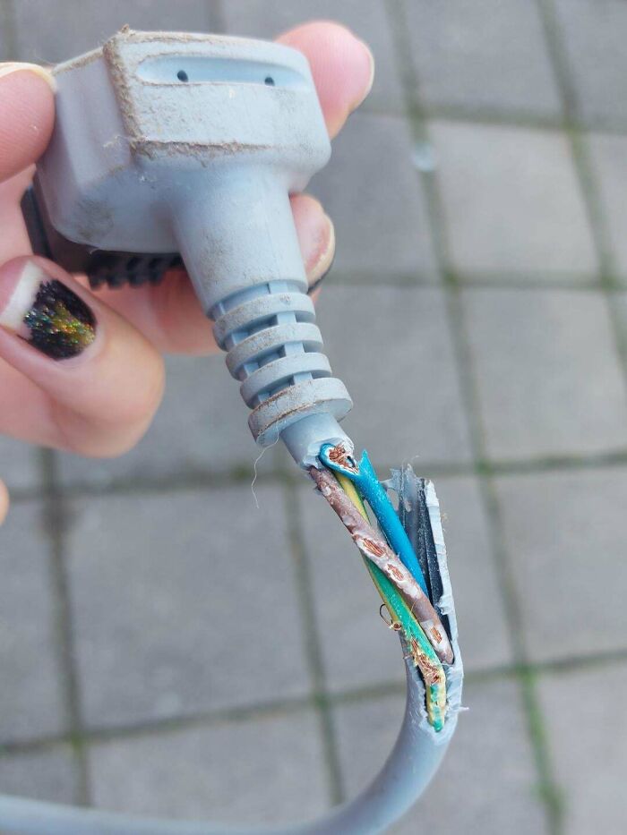 When Your Pet Rat Escapes With The Intention Of Burning Down The House (Little F**ker Was Completely Fine)