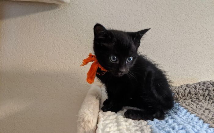 My Wife Gave Me My Christmas Present Early