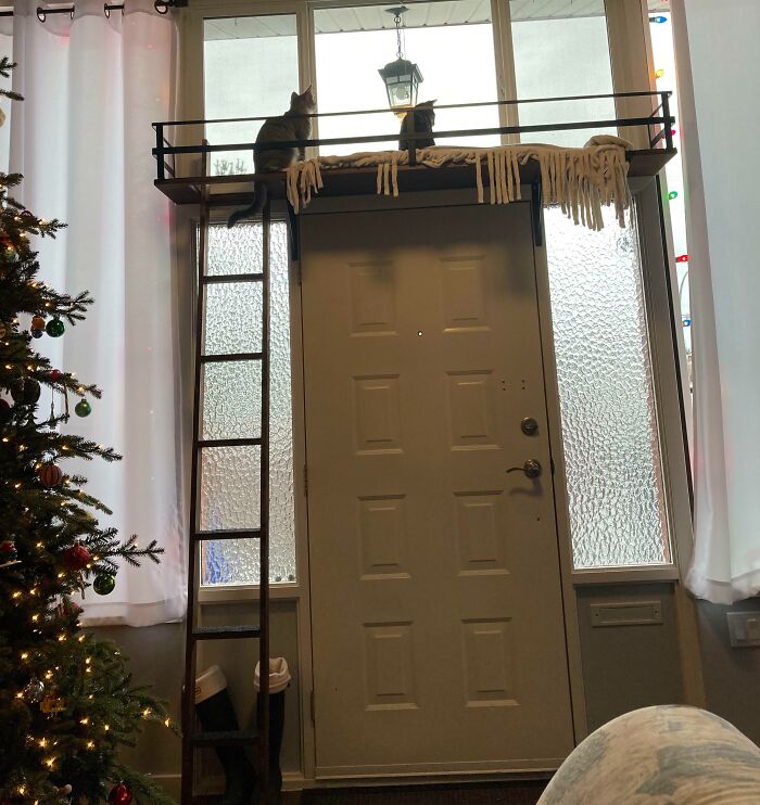 Built Our Spoiled Babies A Loft For Christmas