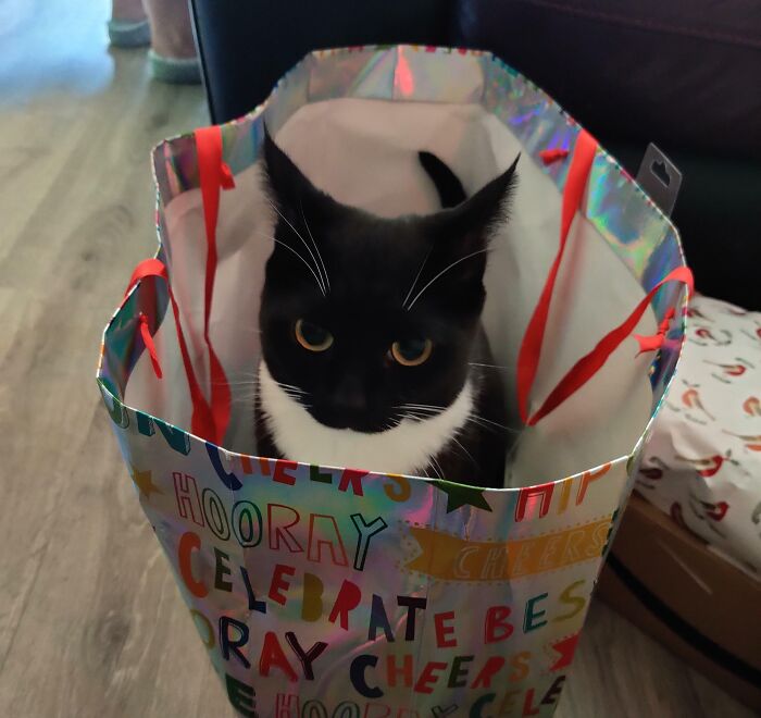 This Is The Best Christmas Present I Could Ever Ask For. He Was Diagnosed With Cancer And Given 3-6 Months... That Was 4 Years Ago