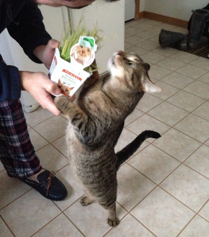 Skeeter Getting His Christmas Present From Dad