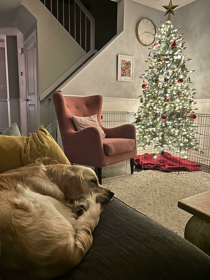 Silent Night, Golden Night