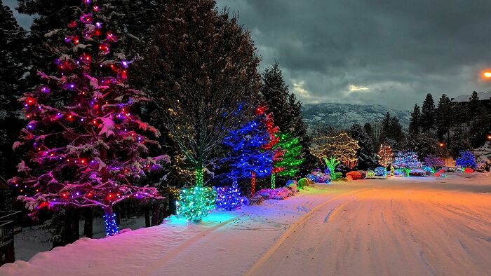 Christmas Lights In Our Neighborhood