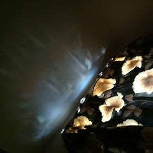 percivalforks avatar