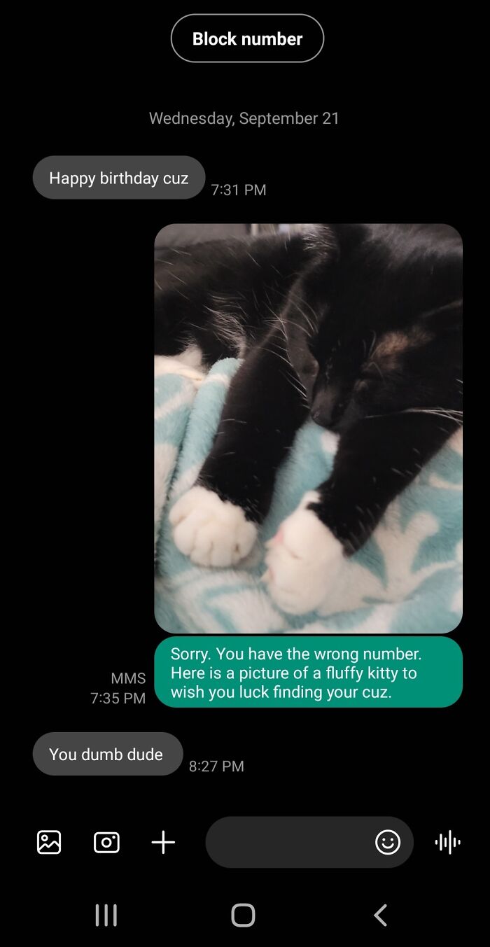 They Didn't Like My Picture