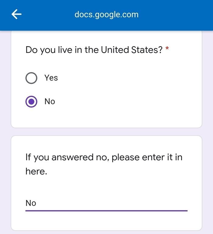Google form showing a hilarious misunderstanding of instructions where 'No' is typed after answering no.