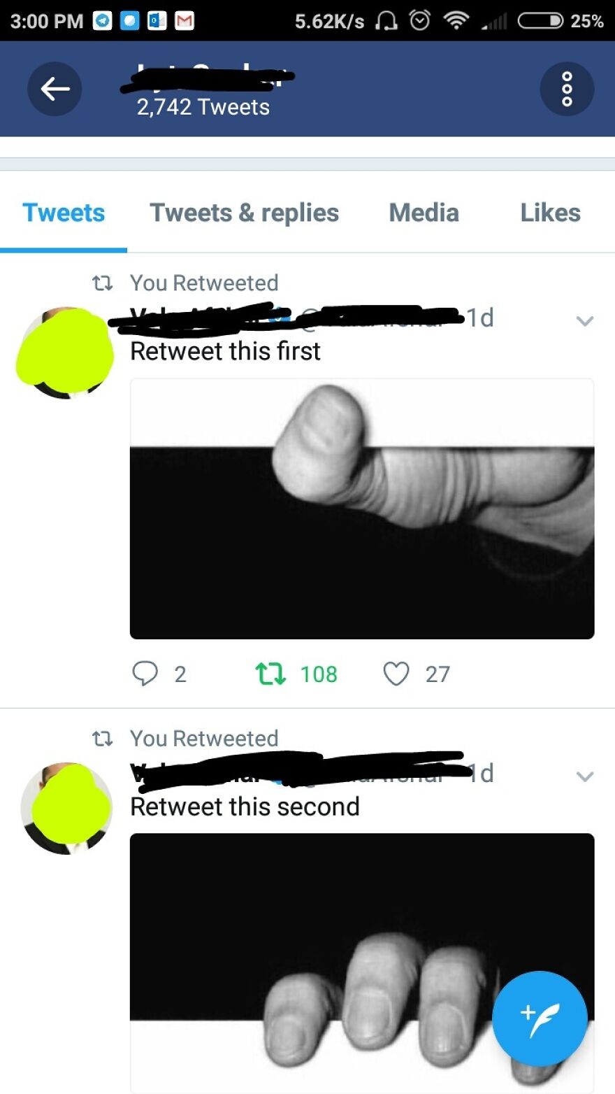 Instructions Unclear, Tweets Stuck In Alternate Dimension