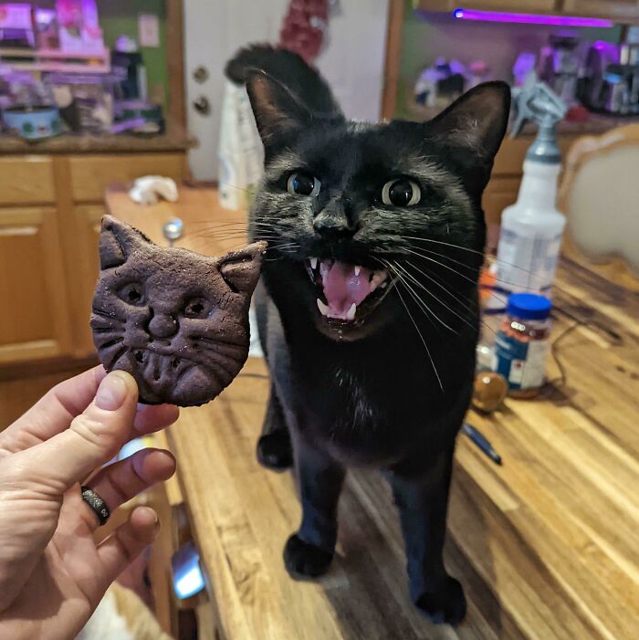 Nerien And His Christmas Cookie