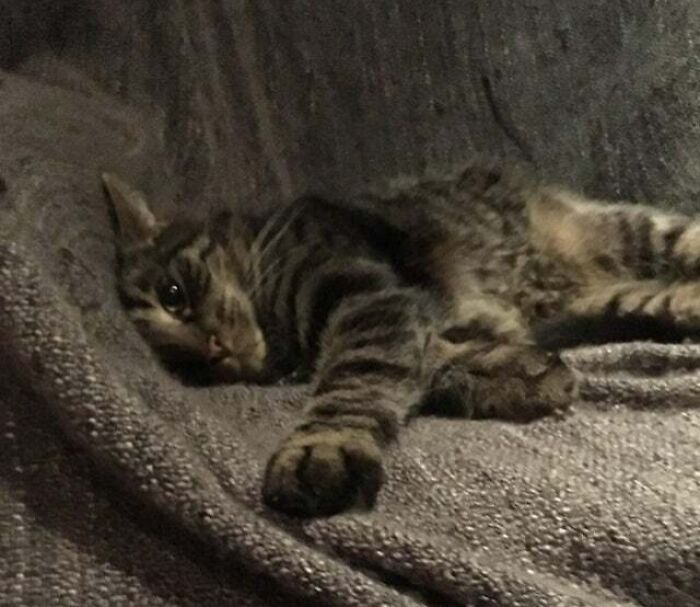 Being Woken On A Monday