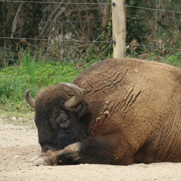 Faces From Monday. Have A Nice Week Everyone From A Zeus In "Today-No!"
