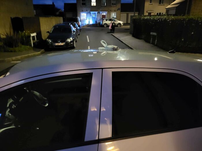 Nothing Says Festive Spirit Like Finding A Bag Of Dog Poop On The Car