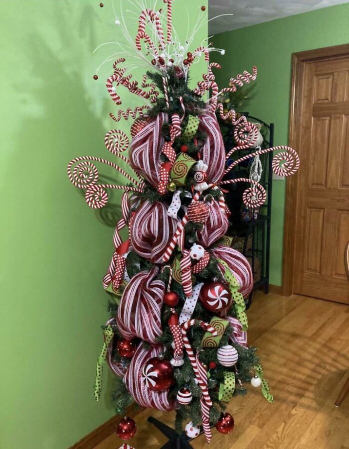 What Do You Think Of My New Tree?