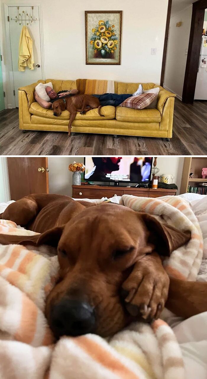 Who Rescued Who? I Have Never In My Life Met A Creature More Loving Than This One