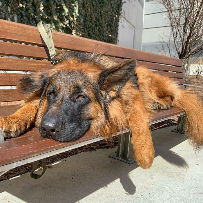 Vibes. Don’t Bother Me World, I’m Busy 