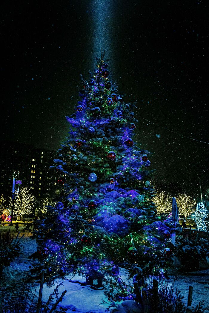 Christmas Tree In Downtown Detroit At Beacon Park On A Snowy Night