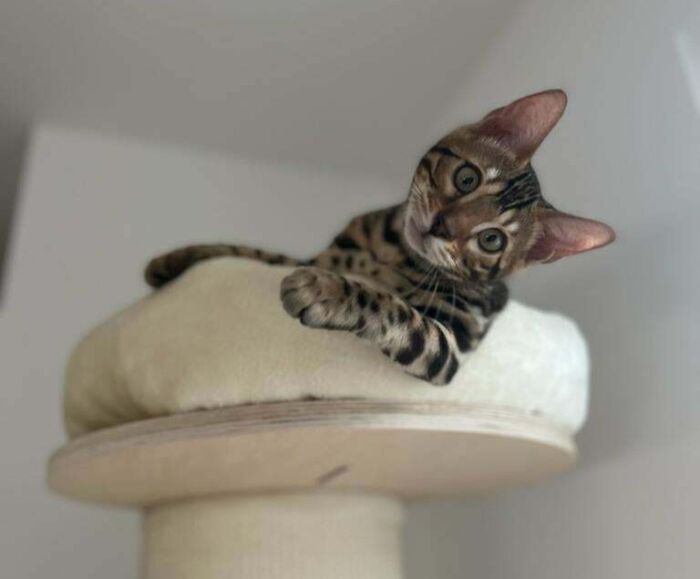 5 Months Old And Growing So Fast And Just Doesn’t Stop Talking