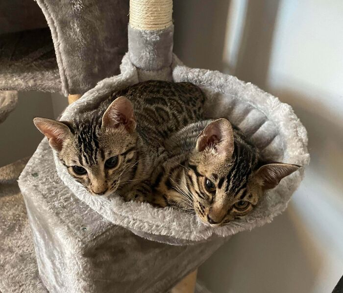 They Grow So Fast! 3 Months Later And They Still Think They Fit!