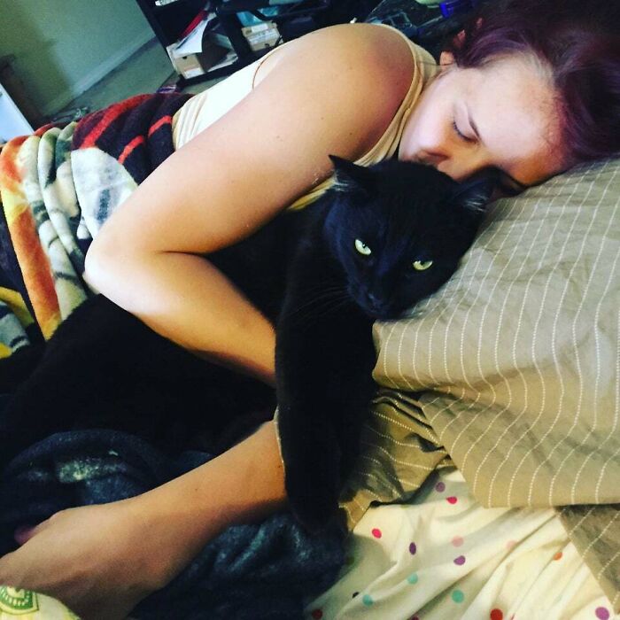 Obie Is Not A Cat. He Is, In Fact, A Panther-Dog